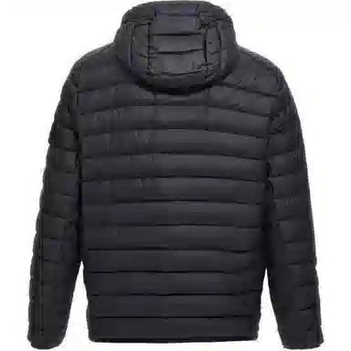 STONE ISLAND FW24 Logo