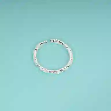 OWNREWARDS 925