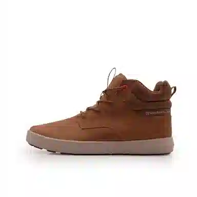 CAT Proxy Hi Brown