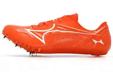 CP 7