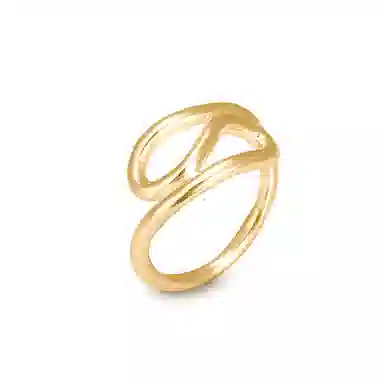 ROGA ins 925