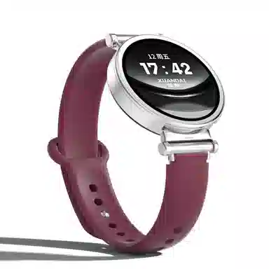 biaodaige watchgt4proGT runnerwatch 4