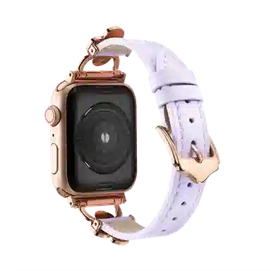 Antey applewatch9876543iwatch