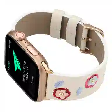 Akkerds Apple watch