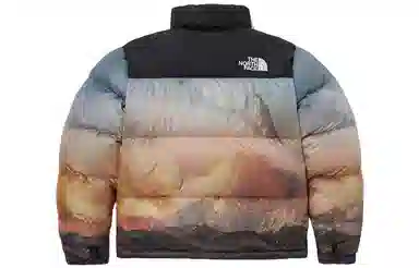 The North Face M's 1996 Novelty Nuptse Jacket