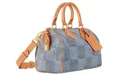 Louis Vuitton Speedy 25 Denim