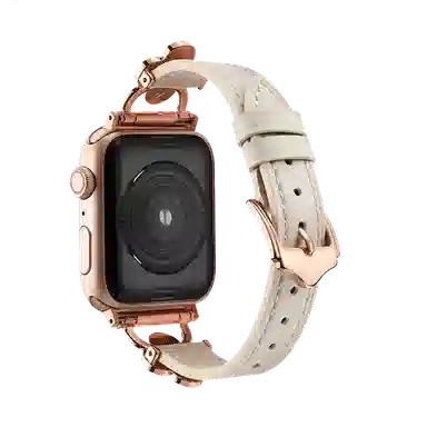 Antey applewatch9876543iwatch