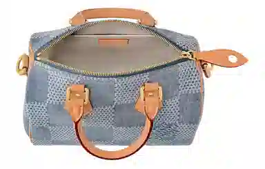 Louis Vuitton Speedy 25 Denim