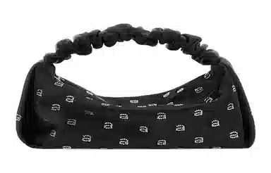 Alexander Wang Scrunchie Mini Bag