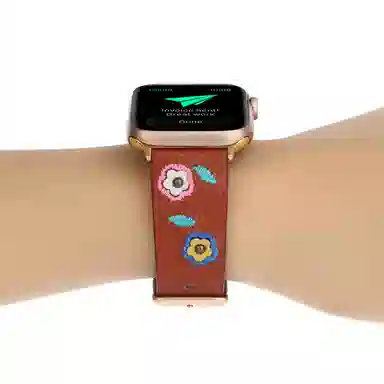 Akkerds Apple watch