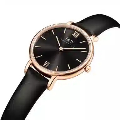 IW CARNIVAL HWGUOJI 3009LP