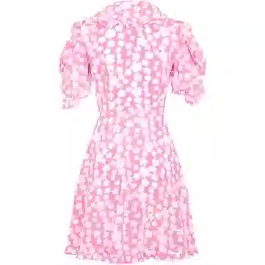 Miu Miu Floral Print Dress