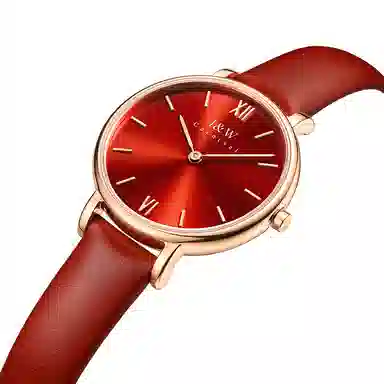 IW CARNIVAL HWGUOJI 3009LP