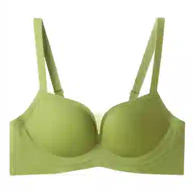 bra