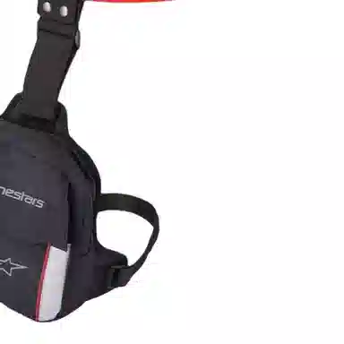 ALPINESTARSACCESS 21*17*4(cm)