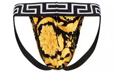 Versace Baroque Print Briefs