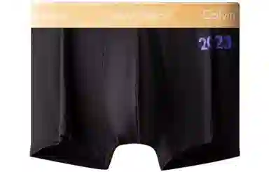 CKCalvin Klein Logo 1