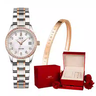 IW CARNIVAL HWGUOJI IW8536LG