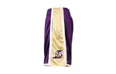 Mitchell & Ness 96-16 Los Angeles Lakers Purple
