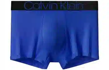 CKCalvin Klein Logo 1