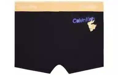 CKCalvin Klein Logo 1