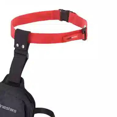 ALPINESTARSACCESS 21*17*4(cm)