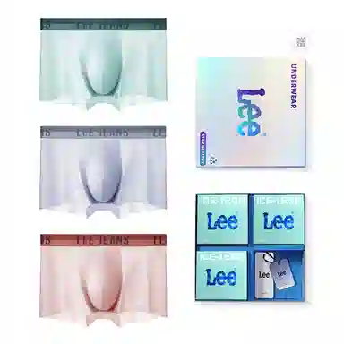 Lee 3