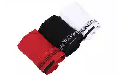 EMPORIO ARMANI logo 3