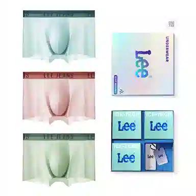 Lee 3