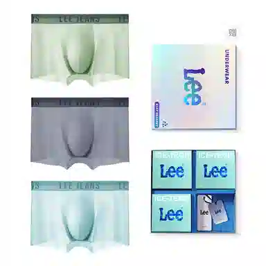 Lee 3