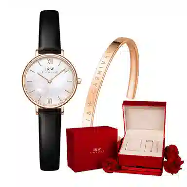 IW CARNIVAL HWGUOJI 3009LP