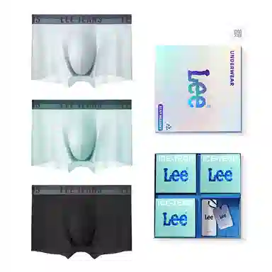 Lee 3