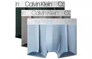 Calvin Klein Logo Print Briefs 3-Pack