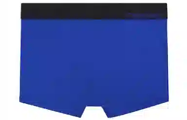 CKCalvin Klein Logo 1