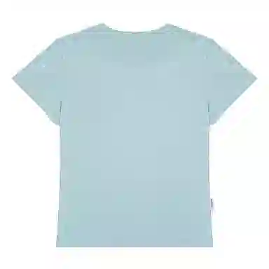 PMET T