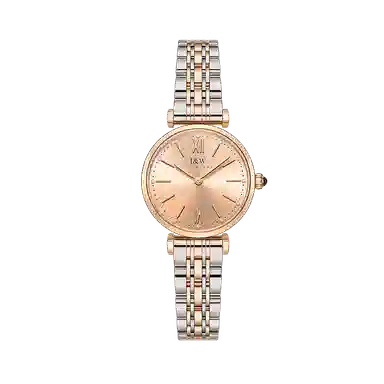 IW CARNIVAL HWGUOJI 8562