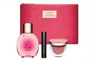 娇韵诗 清新玫瑰彩妆套装 易上色气色 四件套