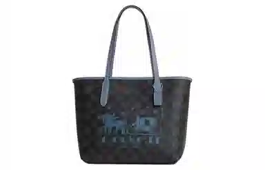 Coach City 23 Tote Bag Brown Blue