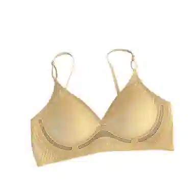 黛尔佳人 无痕小胸聚拢聚拢透气文胸 女款