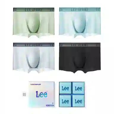 Lee 4