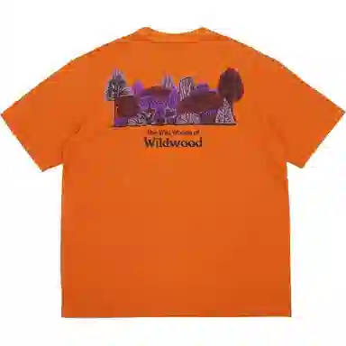 Nike NikeACG T