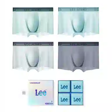 Lee 4