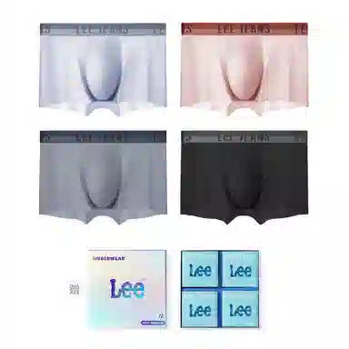 Lee 4