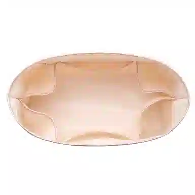 bagINBAG longchampEnergy