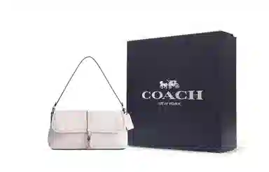 COACH Hamptons 26 Silver Chalk