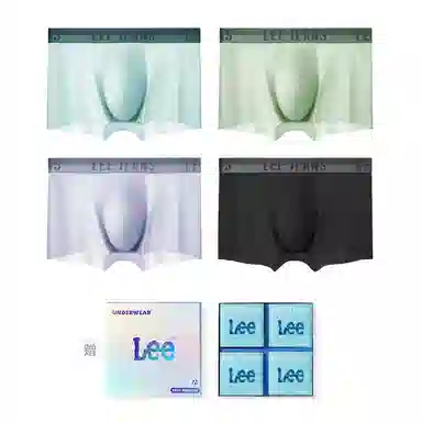 Lee 4