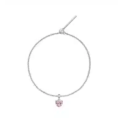Daniel Wellington DW CHARMS 925