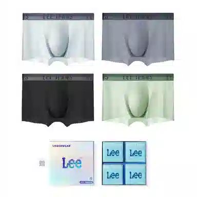 Lee 4
