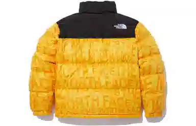 THE NORTH FACE Logo