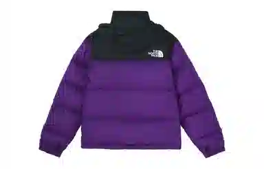 THE NORTH FACE 1996 Nuptse 700